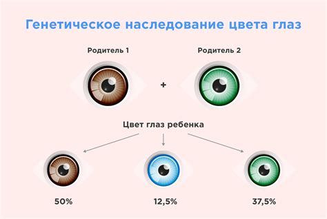 Генетический аспект карих глаз