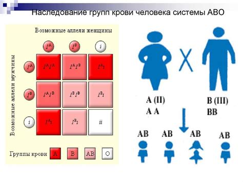 Генетическое наследование группы крови