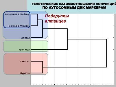 Генетическое сходство азербайджанцев и турков