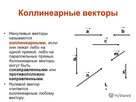 Геометрическое представление коллинеарных векторов