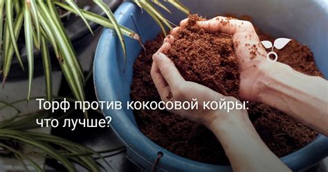 Гибкость кокосовой койры: важные аспекты