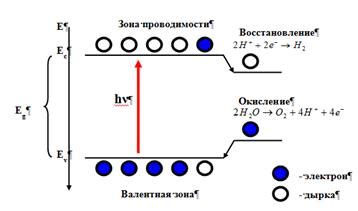 Гидратация и активность