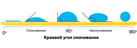 Гидрофобные структуры поверхности