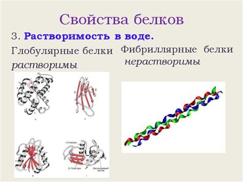 Глобулярные белки: растворимость в воде