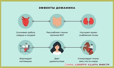 Гормон и его связь с формированием мышц