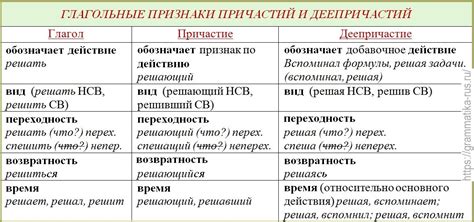 Грамматические особенности прилагательных и существительных