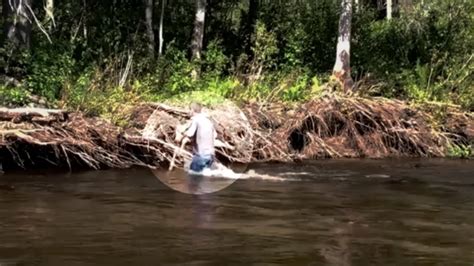 Громкие и странные звуки в воде