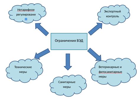 Действующие запреты и ограничения