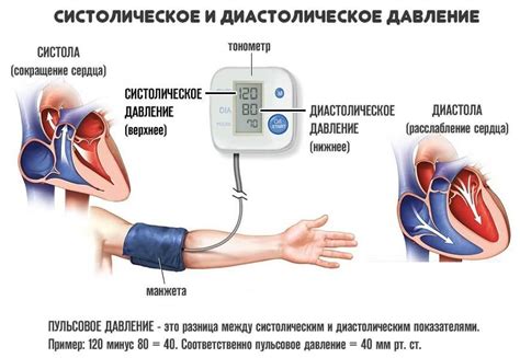 Диастолическое и систолическое давление: ключевые понятия