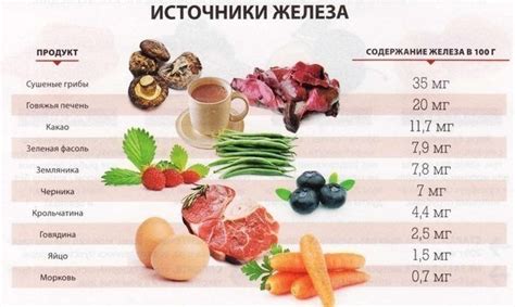 Диета и продукты для восполнения железа