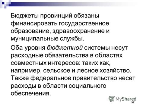 Дипломатические обязательства в других областях