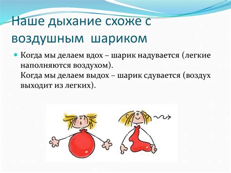 Диурез и физиологические процессы