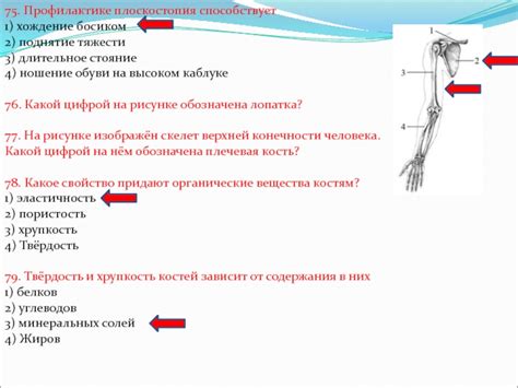 Длительное стояние и хождение