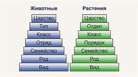 Добавление растений и животных в замок