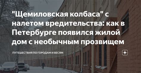 Другие сборные с прозвищем "альбиселесто": основные факты и результаты