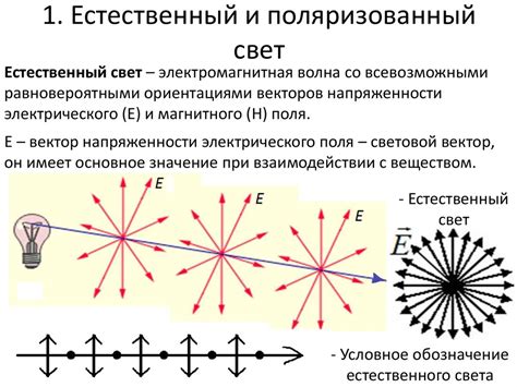 Естественный свет в помещении