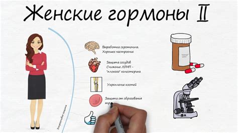 Женские гормоны в мужском организме: влияние и последствия