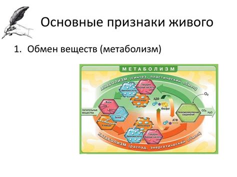 Живые организмы обладают способностью к самостоятельному размножению