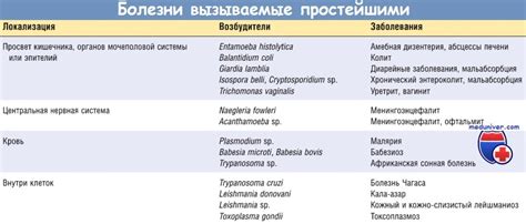 Заболевания, вызывающие трясение у человека