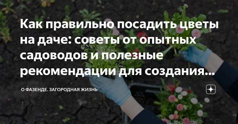 Забота о маникюре в саду: полезные советы