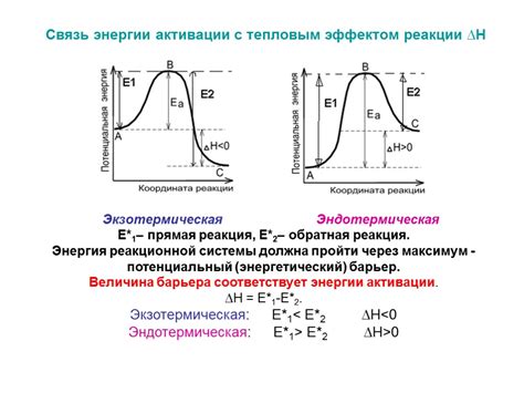 Завершение реакции и охлаждение