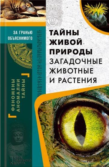 Загадочные заклинания природы: тайны разноцветных облаков