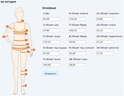 Замеры тела для определения размера