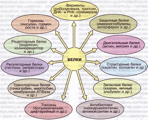 Замешивание белков