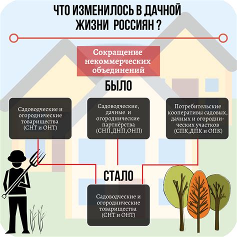 Замораживание сыроежек: важные аспекты