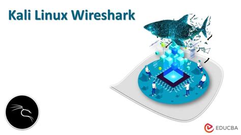 Запуск Wireshark в Kali Linux