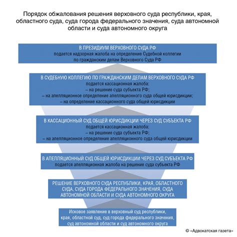 Защита в суде и обществе