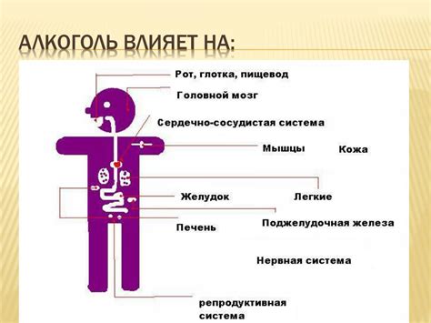 Здоровьесберегающие рекомендации для безопасного употребления