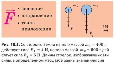 Знак зрелости и силы