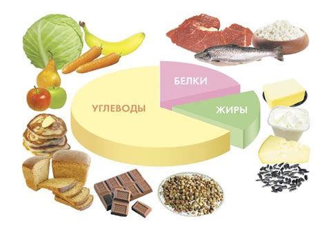 Значение баланса питательных веществ