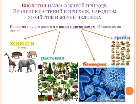 Значение видов в живой природе