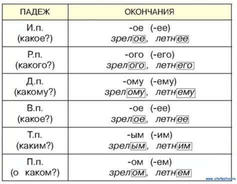 Значение и типы прилагательных в русском языке