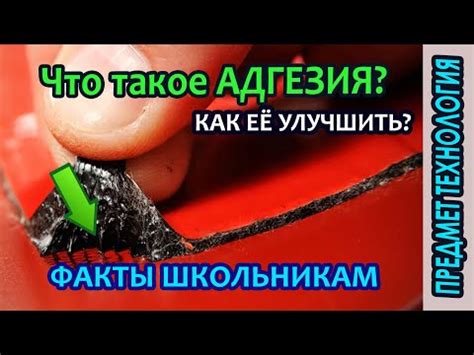 Значение лакокрасочного покрытия