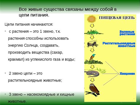 Значение лигнина для экосистемы