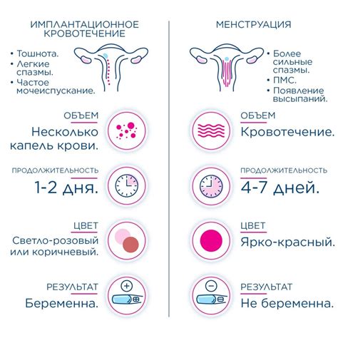 Значение направительных тельц в контроле овуляции