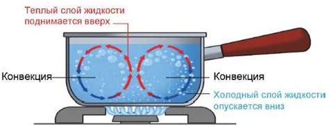 Значение невесомости для понимания конвекции воздуха