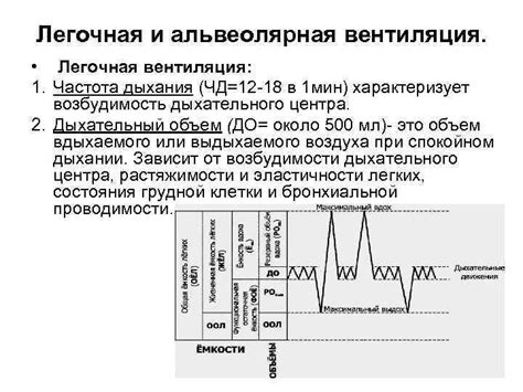 Значение нормальной системы быта