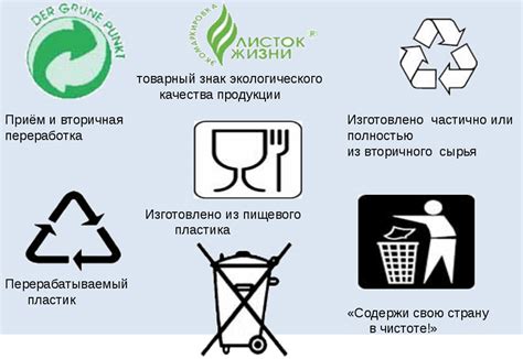 Значение сортировки и утилизации отходов