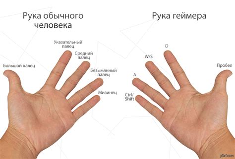 Значение указательного пальца