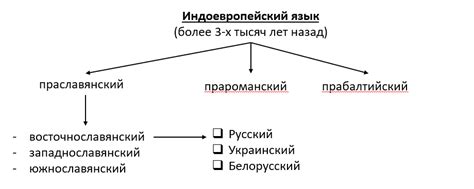 Значимость слова "свекла" в истории русского языка и культуры