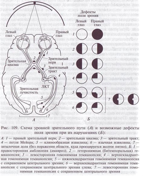 Зрительный осмотр тюбика