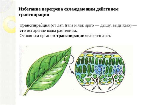 Избегание перегрева