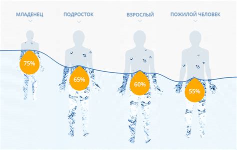 Избыток еды и воды