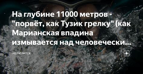 Известные вариации выражения "как тузик грелку" в разных регионах