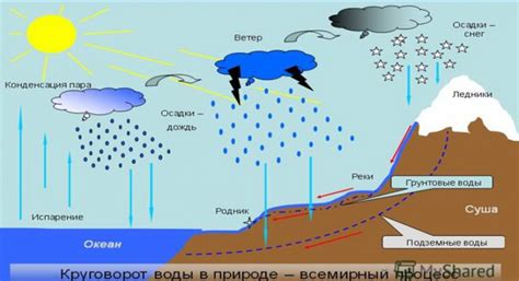 Излишняя влажность воздуха и земля