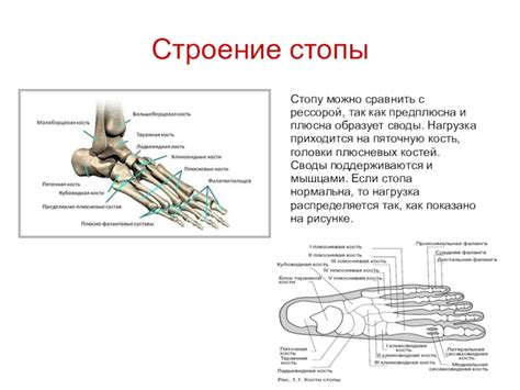 Излишняя нагрузка на стопу